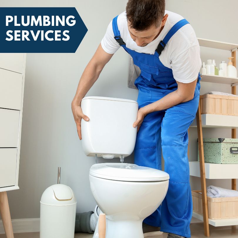 Plumbing Company in Lulu, FL